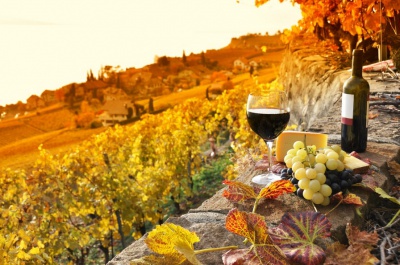 Винные этикетки как показатель стоимости дома в винодельческих регионах Италии