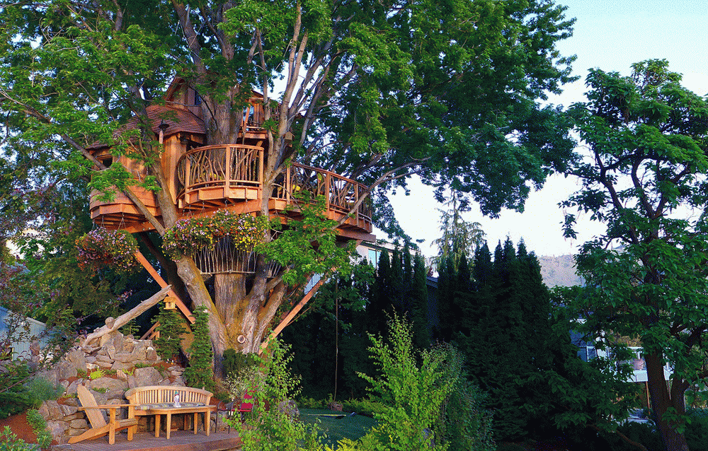 Дом на дереве новый экотренд