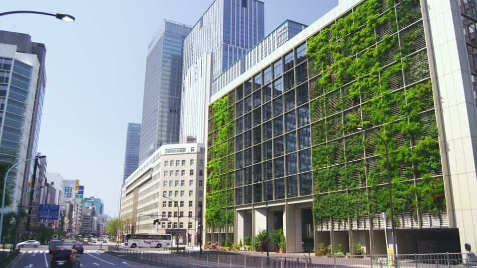 602649778-green-wall-chuo-ecological-office-building.jpg